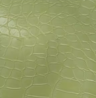 Crocodile leather